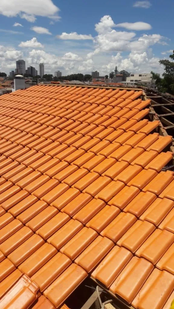 Telhados Reformados 9 telhado-reformado-vila-mariana-quatro-aguas-6
